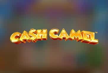 Cash Camel slot