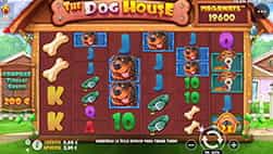 The Dog House Megaways su StarCasinò.