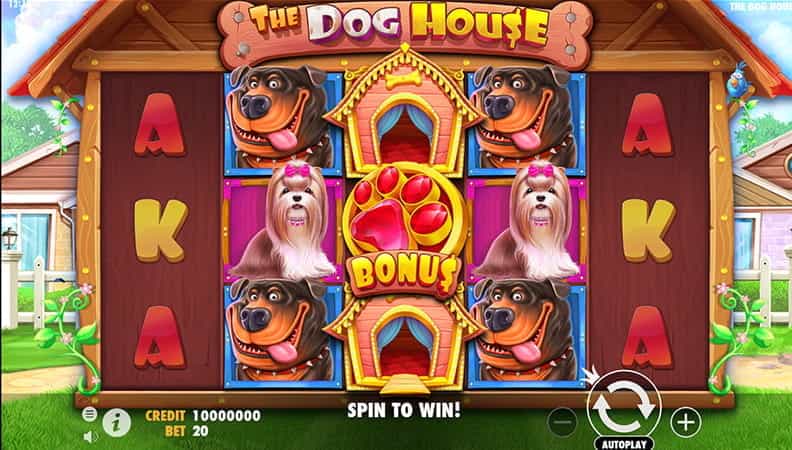 La demo della slot The Dog House