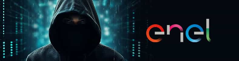 Truffe Enel energia