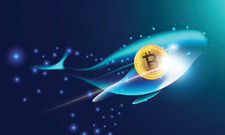 Simbolo del bitcoin e una balena